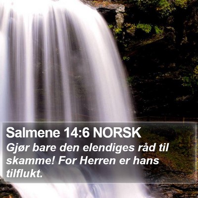 Salmene 14:6 NORSK Bible Verse Image