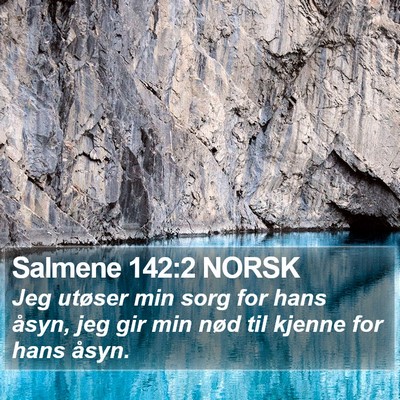 Salmene 142:2 NORSK Bible Verse Image