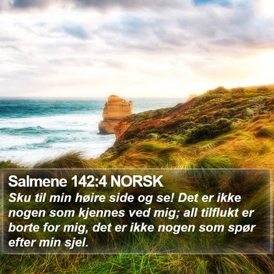 Salmene 142:4 NORSK Bible Verse Image