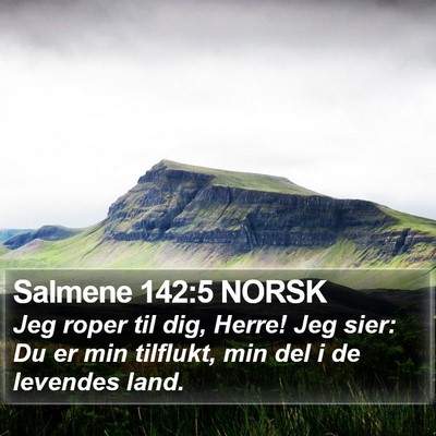 Salmene 142:5 NORSK Bible Verse Image