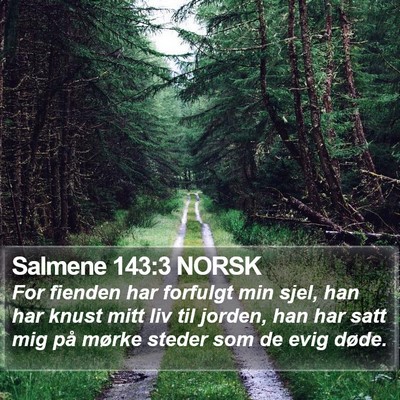Salmene 143:3 NORSK Bible Verse Image