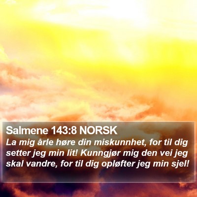 Salmene 143:8 NORSK Bible Verse Image
