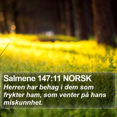 Salmene 147:11 NORSK Bible Verse Image