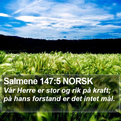 Salmene 147:5 NORSK Bible Verse Image