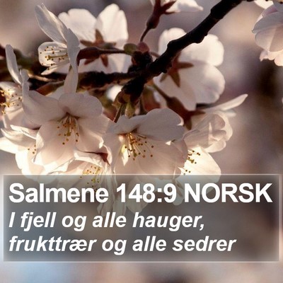 Salmene 148:9 NORSK Bible Verse Image