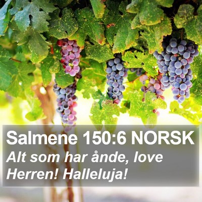 Salmene 150:6 NORSK Bible Verse Image