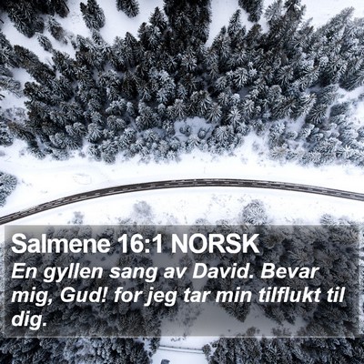 Salmene 16:1 NORSK Bible Verse Image