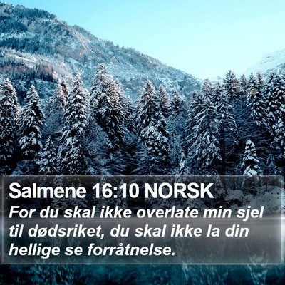 Salmene 16:10 NORSK Bible Verse Image