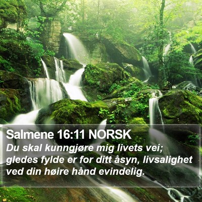 Salmene 16:11 NORSK Bible Verse Image