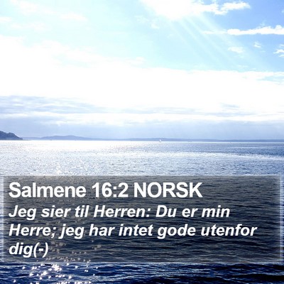 Salmene 16:2 NORSK Bible Verse Image