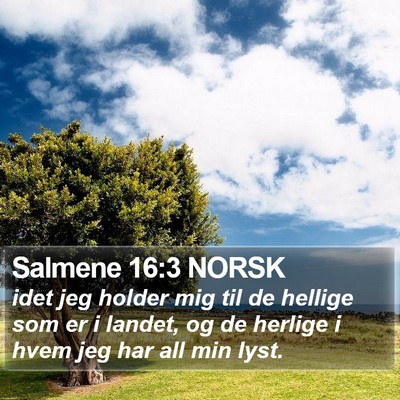 Salmene 16:3 NORSK Bible Verse Image