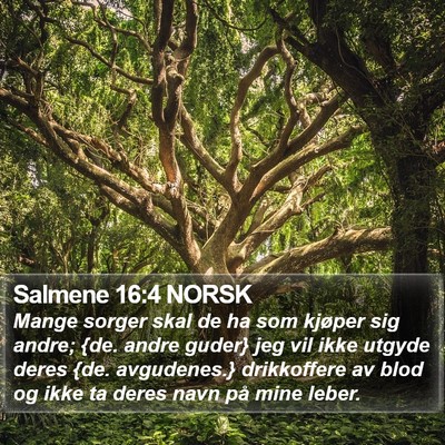 Salmene 16:4 NORSK Bible Verse Image