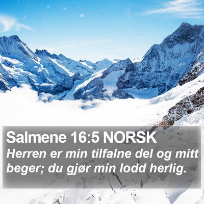 Salmene 16:5 NORSK Bible Verse Image