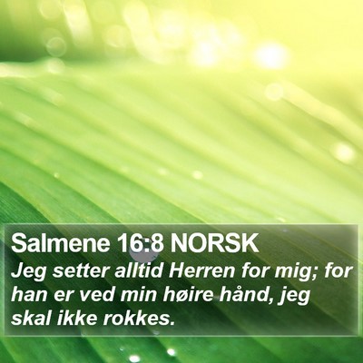 Salmene 16:8 NORSK Bible Verse Image