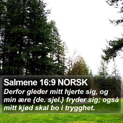 Salmene 16:9 NORSK Bible Verse Image