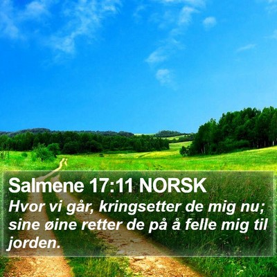 Salmene 17:11 NORSK Bible Verse Image