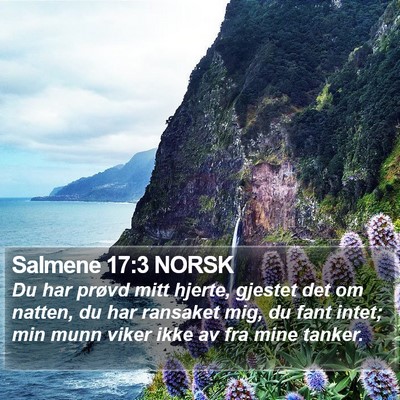 Salmene 17:3 NORSK Bible Verse Image