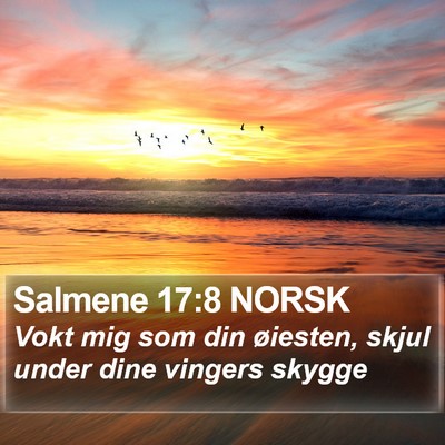 Salmene 17:8 NORSK Bible Verse Image