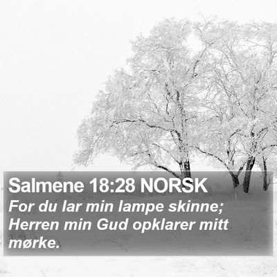 Salmene 18:28 NORSK Bible Verse Image