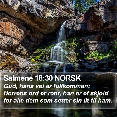 Salmene 18:30 NORSK Bible Verse Image