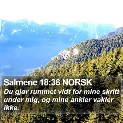 Salmene 18:36 NORSK Bible Verse Image