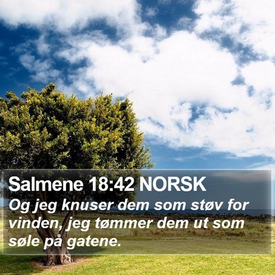 Salmene 18:42 NORSK Bible Verse Image