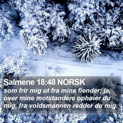 Salmene 18:48 NORSK Bible Verse Image