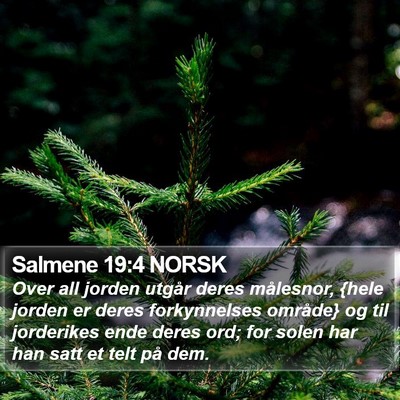 Salmene 19:4 NORSK Bible Verse Image