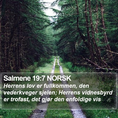 Salmene 19:7 NORSK Bible Verse Image