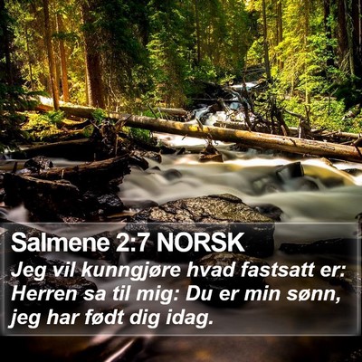 Salmene 2:7 NORSK Bible Verse Image