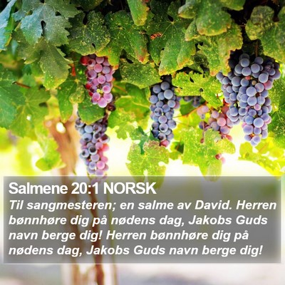 Salmene 20:1 NORSK Bible Verse Image