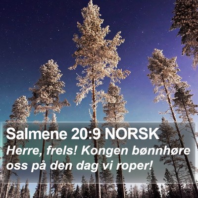 Salmene 20:9 NORSK Bible Verse Image