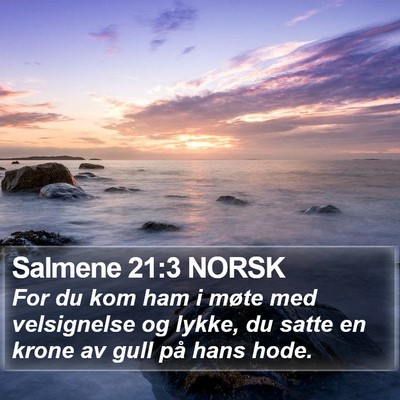 Salmene 21:3 NORSK Bible Verse Image