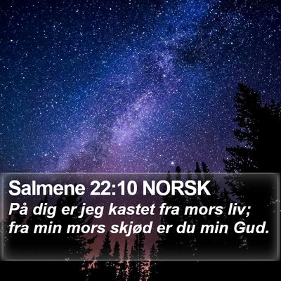 Salmene 22:10 NORSK Bible Verse Image