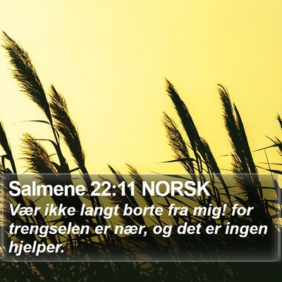 Salmene 22:11 NORSK Bible Verse Image