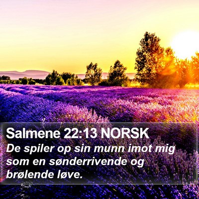 Salmene 22:13 NORSK Bible Verse Image