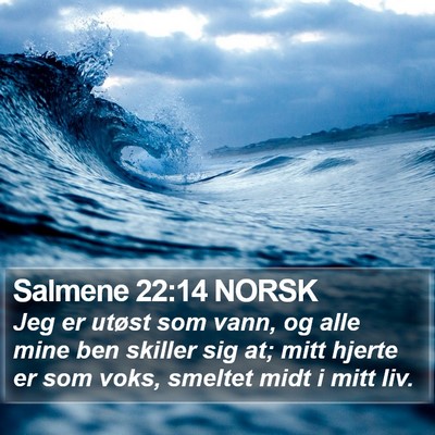 Salmene 22:14 NORSK Bible Verse Image
