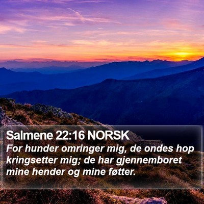 Salmene 22:16 NORSK Bible Verse Image