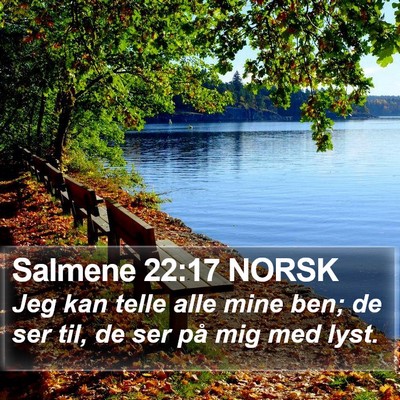 Salmene 22:17 NORSK Bible Verse Image