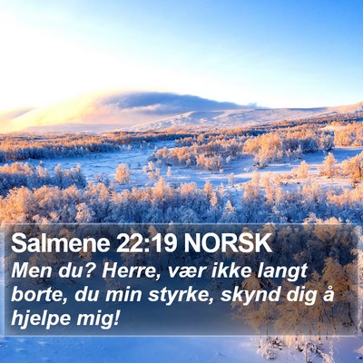 Salmene 22:19 NORSK Bible Verse Image