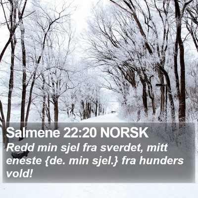 Salmene 22:20 NORSK Bible Verse Image