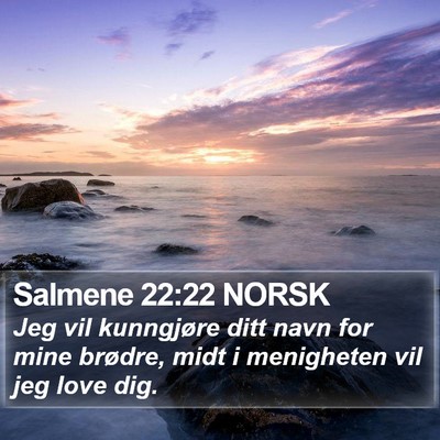 Salmene 22:22 NORSK Bible Verse Image