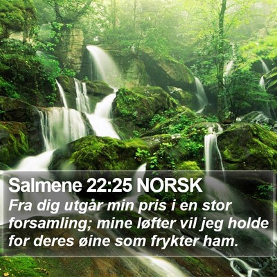 Salmene 22:25 NORSK Bible Verse Image
