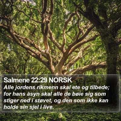 Salmene 22:29 NORSK Bible Verse Image