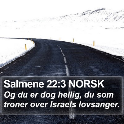 Salmene 22:3 NORSK Bible Verse Image