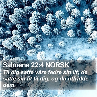 Salmene 22:4 NORSK Bible Verse Image