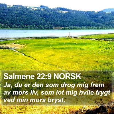 Salmene 22:9 NORSK Bible Verse Image