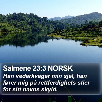 Salmene 23:3 NORSK Bible Verse Image