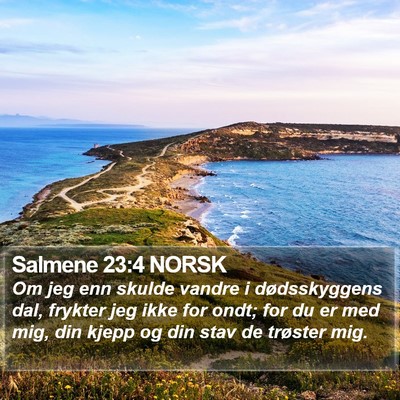 Salmene 23:4 NORSK Bible Verse Image
