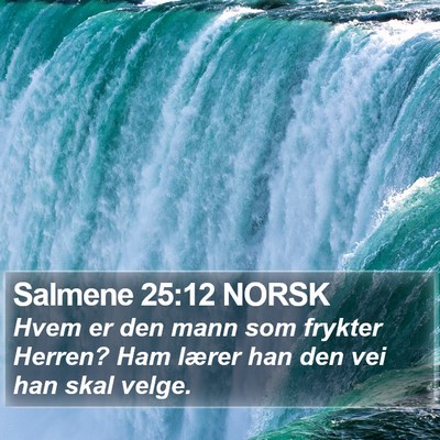 Salmene 25:12 NORSK Bible Verse Image